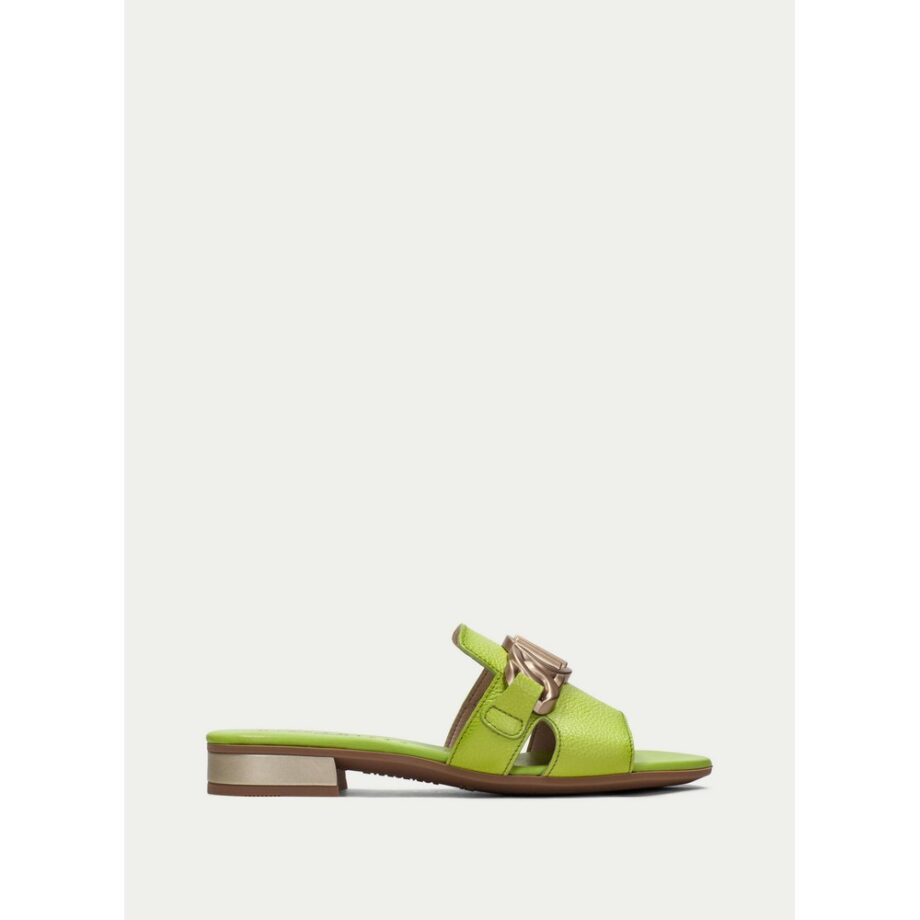 Hispanitas HV243268 Pantolette kiwi