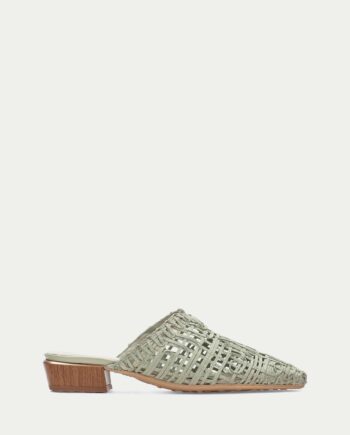 Hispanitas Mule azucena alge HV264790